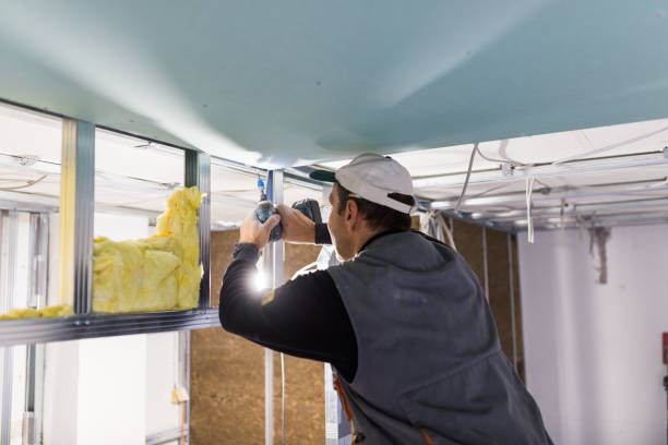 Best Spray Foam Insulation in Genola, UT