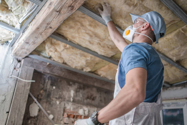 Best Eco-Friendly Insulation in Genola, UT